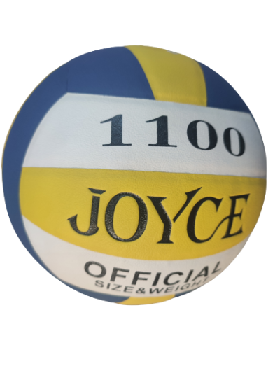 ballon volley balle joyce
