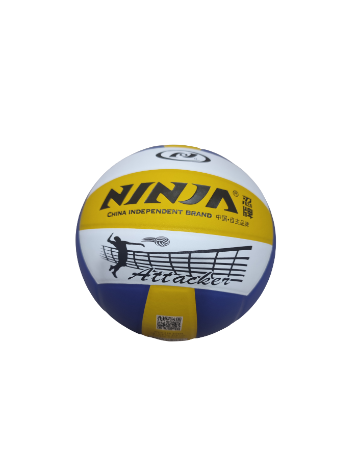 ballon volley balle ninja