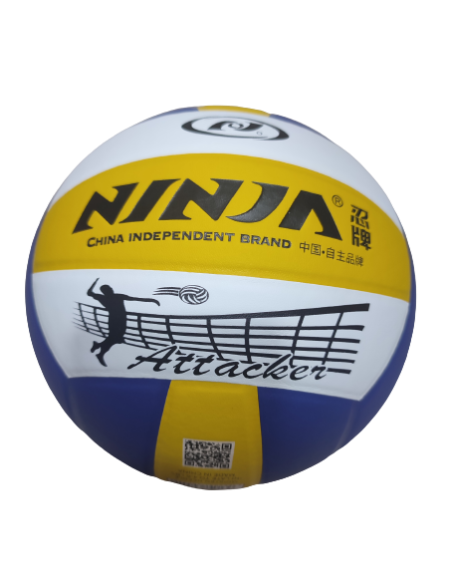 ballon volley balle ninja