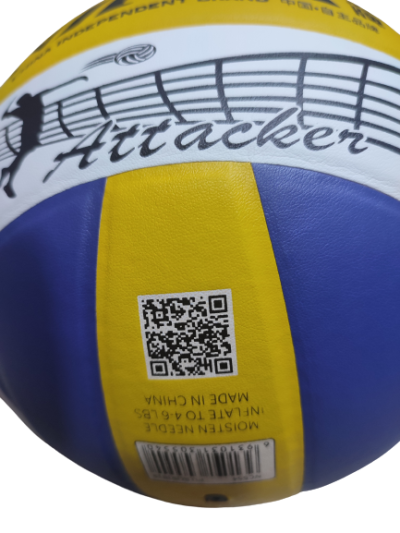 ballon volley balle ninja